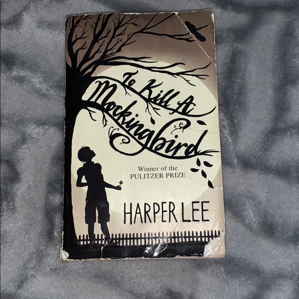 💎To Kill a mocking bird Novel